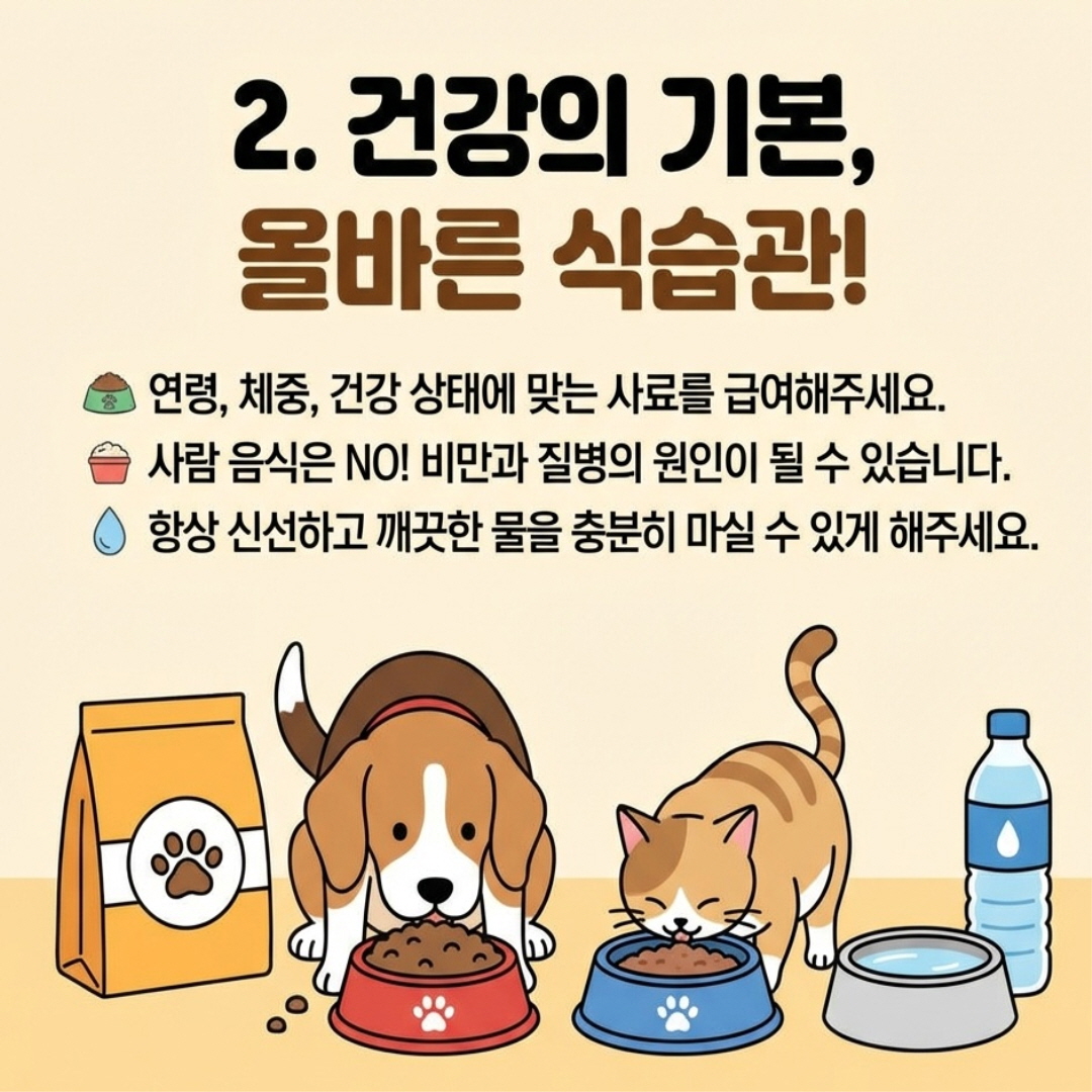 건강의 기본, 올바른 식습관!
연령, 체중, 건강 상태에 맞는 사료를 급여해주세요.
사람 음식은 NO! 비만과 질병의 원인이 될 수 있습니다.
항상 신선하고 깨끗한 물을 충분히 마실 수 있게 해주세요.
